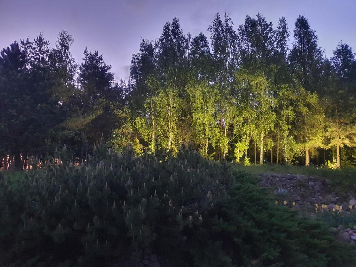 Nad Dabrowka Villa Mala Huta Exterior foto